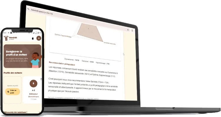 La plateforme BAOUBAB sur ordinateur et sur téléphone